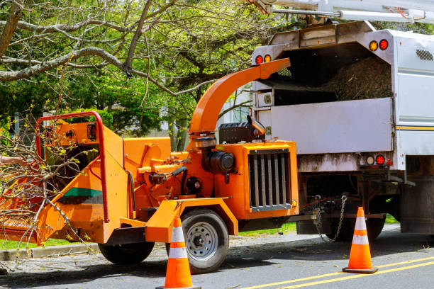 Best Tree Mulching  in West Loch Estate, HI